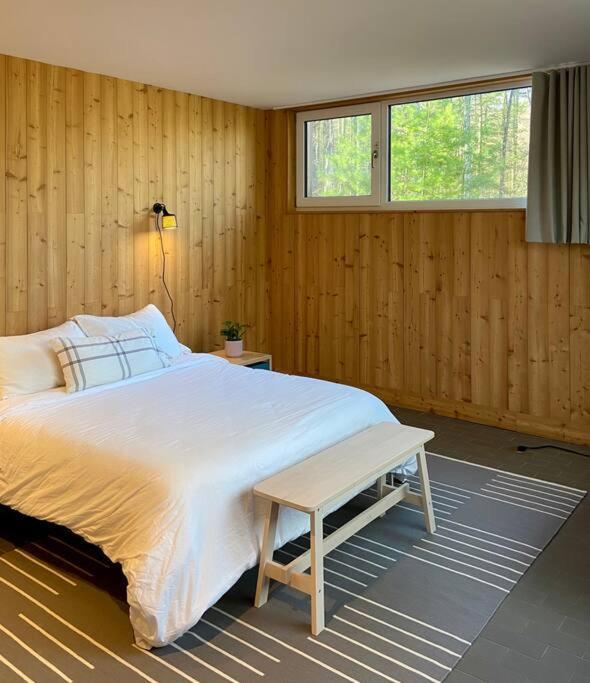 Modern Mountain Retreat